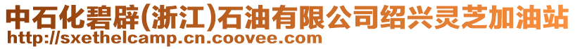中石化碧辟(浙江)石油有限公司紹興靈芝加油站