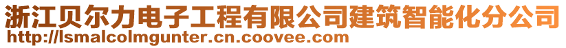 浙江貝爾力電子工程有限公司建筑智能化分公司