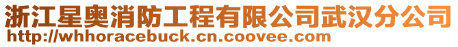 浙江星奧消防工程有限公司武漢分公司