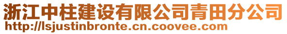 浙江中柱建設(shè)有限公司青田分公司