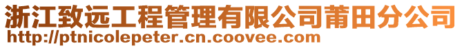 浙江致遠工程管理有限公司莆田分公司