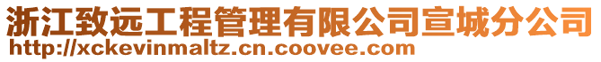 浙江致遠工程管理有限公司宣城分公司