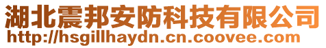 湖北震邦安防科技有限公司