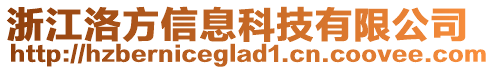 浙江洛方信息科技有限公司