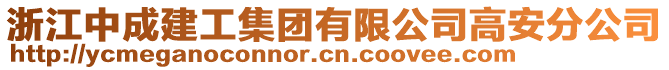 浙江中成建工集團有限公司高安分公司