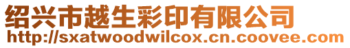 紹興市越生彩印有限公司
