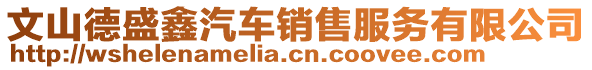 文山德盛鑫汽車銷售服務有限公司