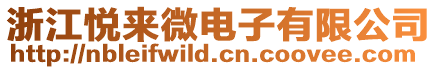 浙江悅來微電子有限公司