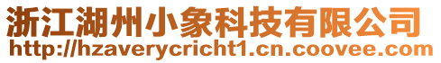 浙江湖州小象科技有限公司