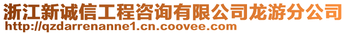 浙江新誠(chéng)信工程咨詢有限公司龍游分公司