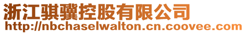 浙江騏驥控股有限公司