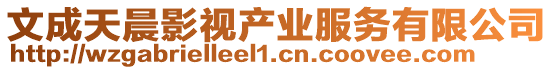 文成天晨影視產(chǎn)業(yè)服務(wù)有限公司