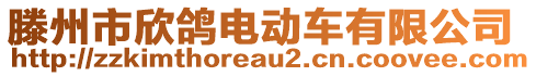 滕州市欣鴿電動車有限公司