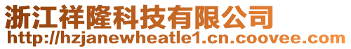 浙江祥隆科技有限公司