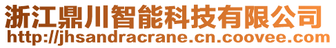 浙江鼎川智能科技有限公司