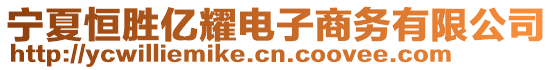 寧夏恒勝億耀電子商務(wù)有限公司