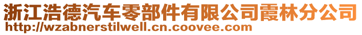 浙江浩德汽車零部件有限公司霞林分公司