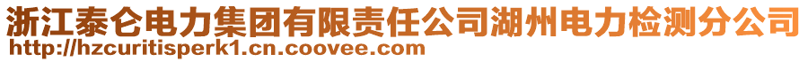 浙江泰侖電力集團有限責任公司湖州電力檢測分公司