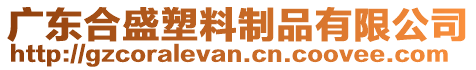 廣東合盛塑料制品有限公司