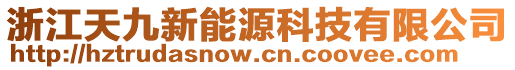 浙江天九新能源科技有限公司