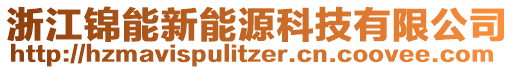 浙江錦能新能源科技有限公司