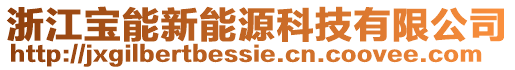 浙江寶能新能源科技有限公司