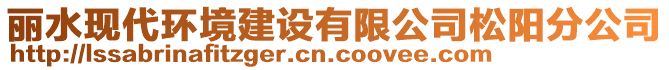 麗水現(xiàn)代環(huán)境建設(shè)有限公司松陽分公司