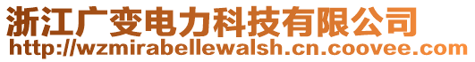 浙江廣變電力科技有限公司