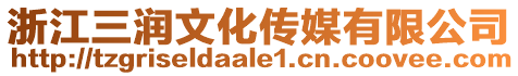 浙江三潤文化傳媒有限公司