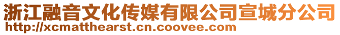 浙江融音文化传媒有限公司宣城分公司