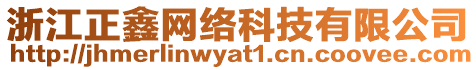 浙江正鑫網(wǎng)絡(luò)科技有限公司