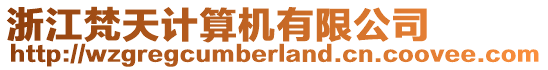 浙江梵天计算机有限公司