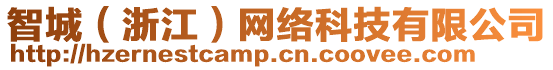 智城（浙江）網絡科技有限公司