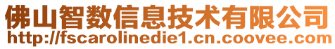 佛山智數(shù)信息技術(shù)有限公司