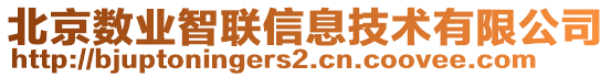 北京數業(yè)智聯信息技術有限公司