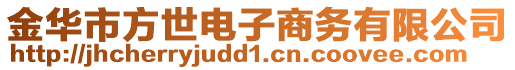 金華市方世電子商務(wù)有限公司