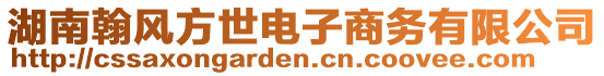 湖南翰風方世電子商務有限公司