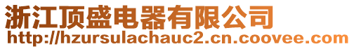 浙江頂盛電器有限公司