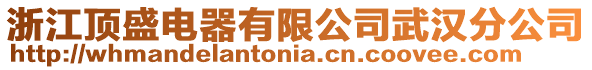 浙江頂盛電器有限公司武漢分公司