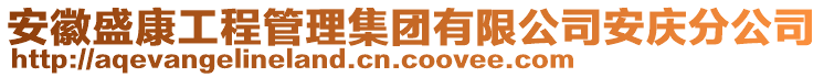 安徽盛康工程管理集团有限公司安庆分公司