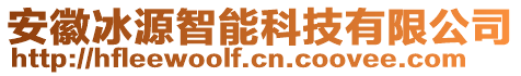 安徽冰源智能科技有限公司