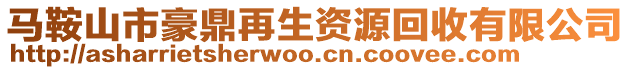 馬鞍山市豪鼎再生資源回收有限公司