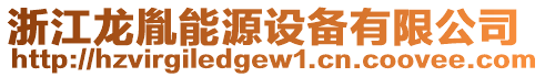 浙江龍胤能源設備有限公司