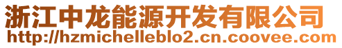 浙江中龍能源開發(fā)有限公司