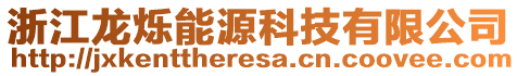 浙江龍爍能源科技有限公司