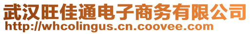 武漢旺佳通電子商務(wù)有限公司