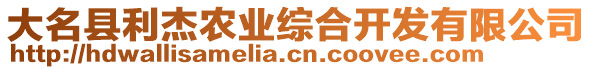 大名縣利杰農(nóng)業(yè)綜合開(kāi)發(fā)有限公司