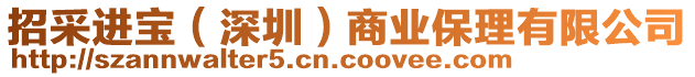 招采進(jìn)寶（深圳）商業(yè)保理有限公司