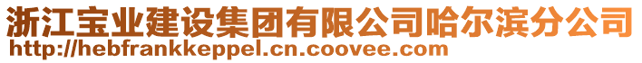 浙江寶業(yè)建設集團有限公司哈爾濱分公司