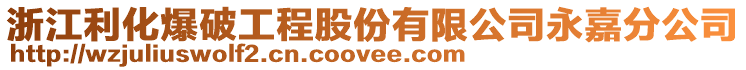 浙江利化爆破工程股份有限公司永嘉分公司